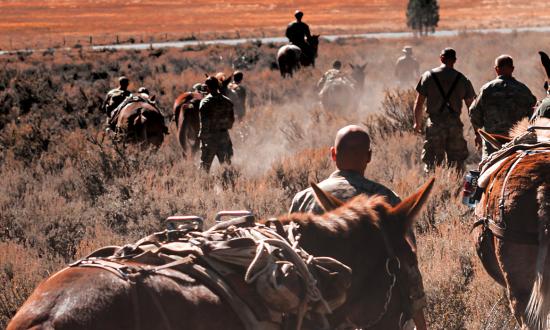 Army and Marine Corps special forces 